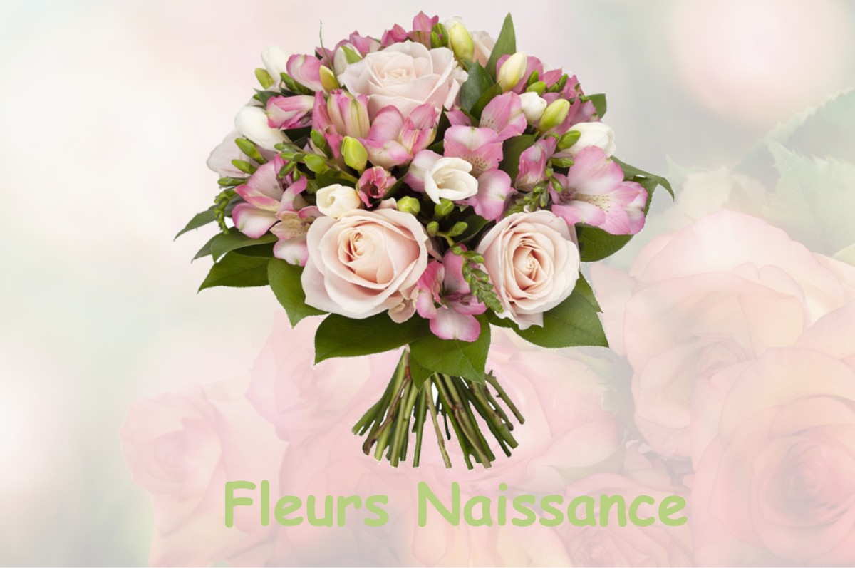 fleurs naissance SAINTE-CROIX-VALLEE-FRANCAISE